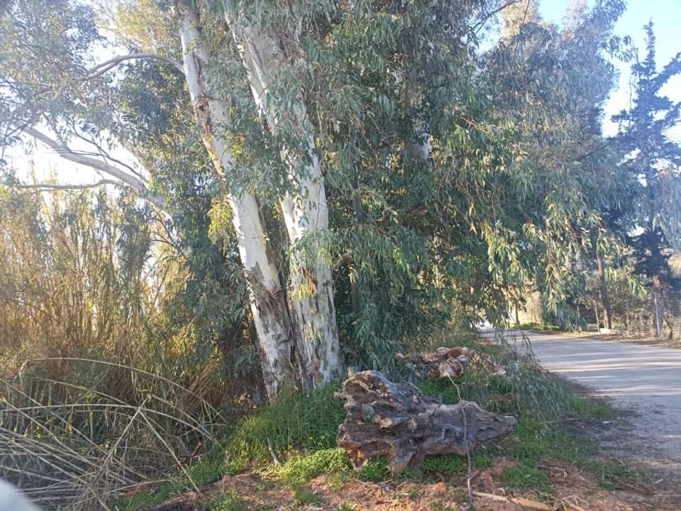 Image 2 of 7