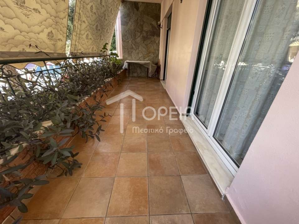 Image 1 of 19