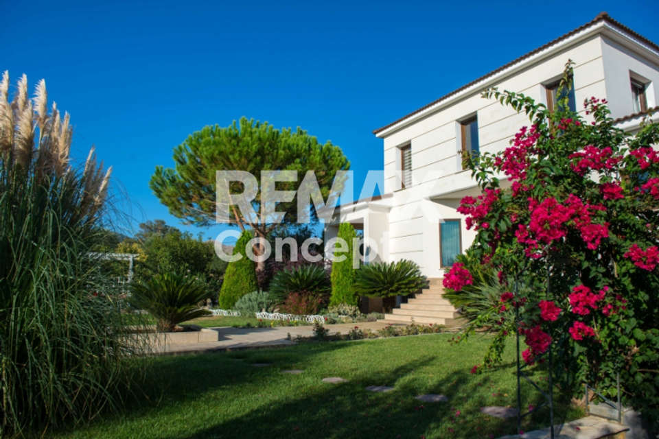 Image 0 of 32