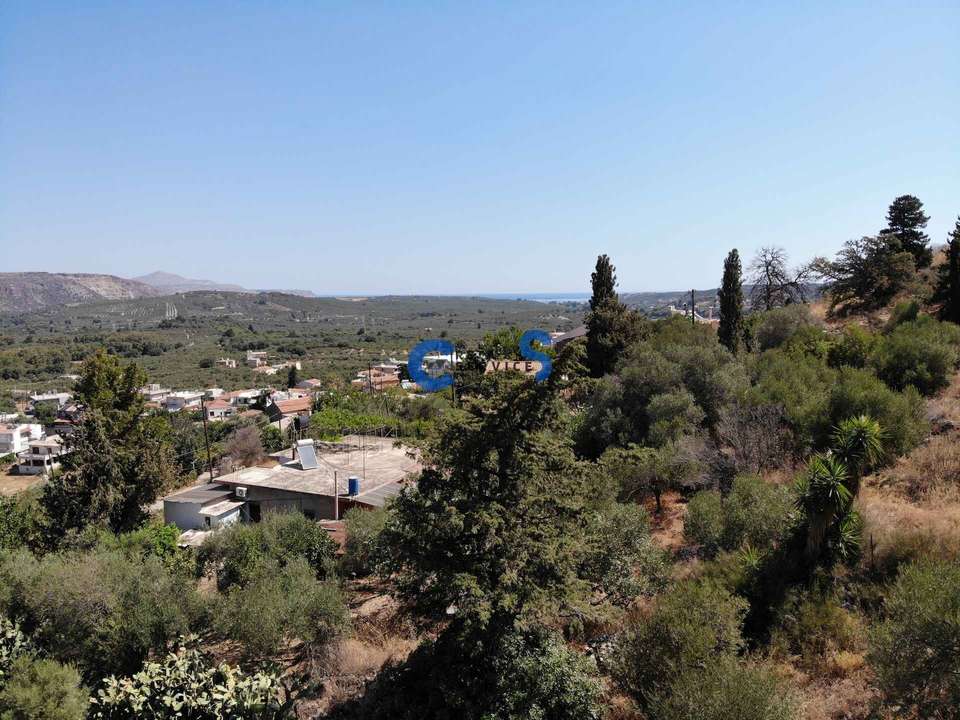 Image 1 of 14