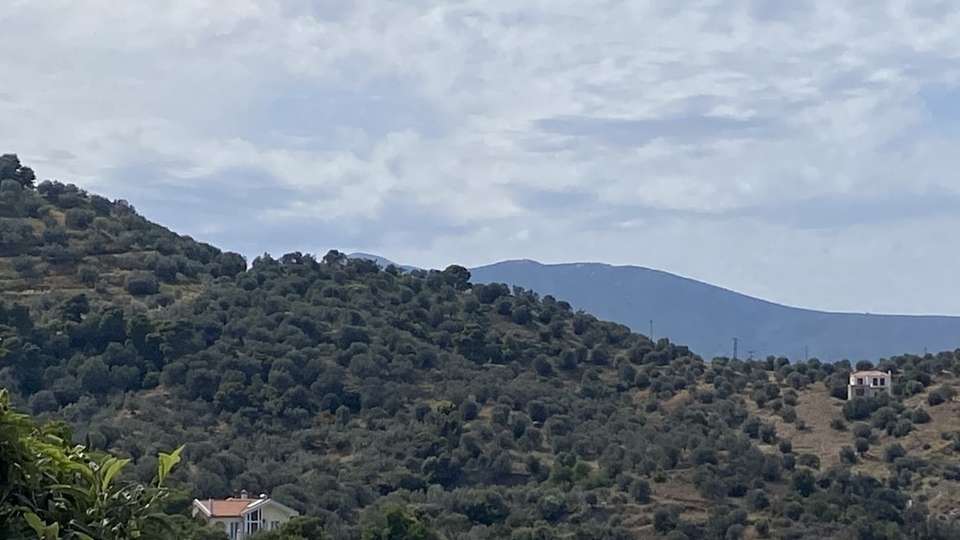 Image 1 of 19
