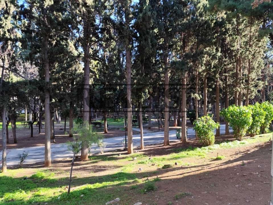 Image 1 of 14