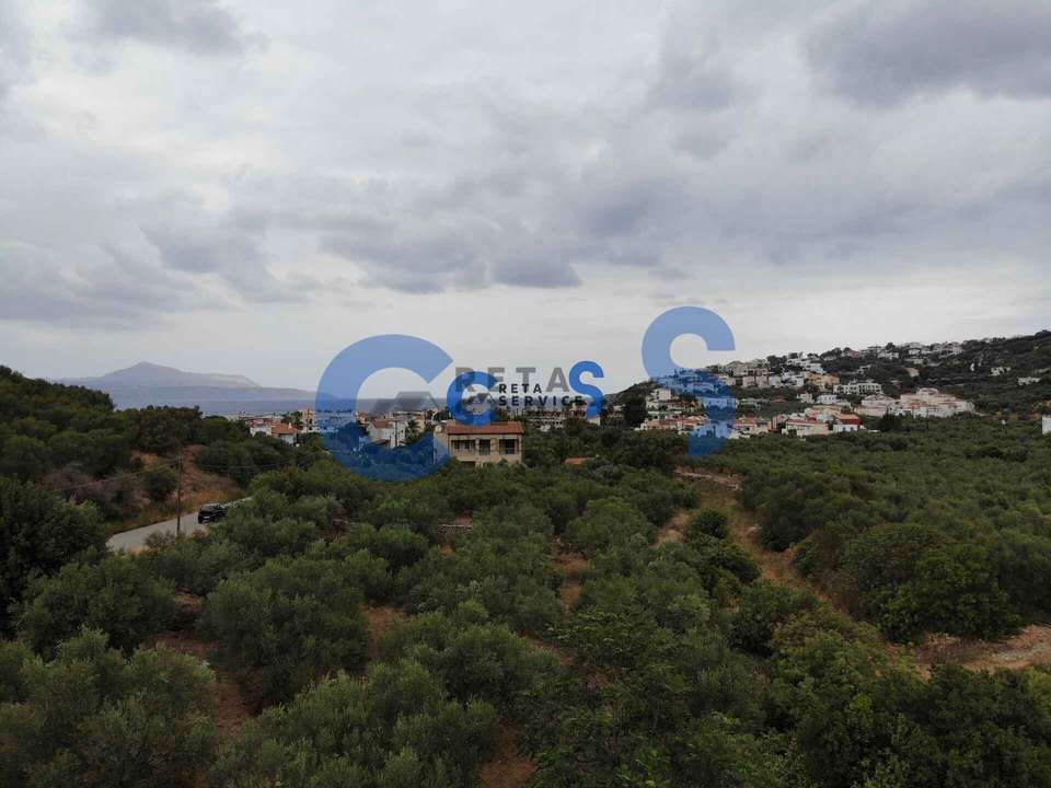 Image 1 of 12