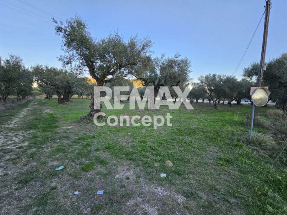 Image 2 of 14