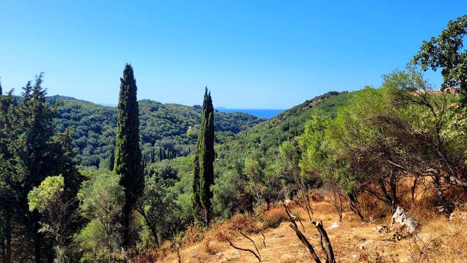 Image 0 of 5