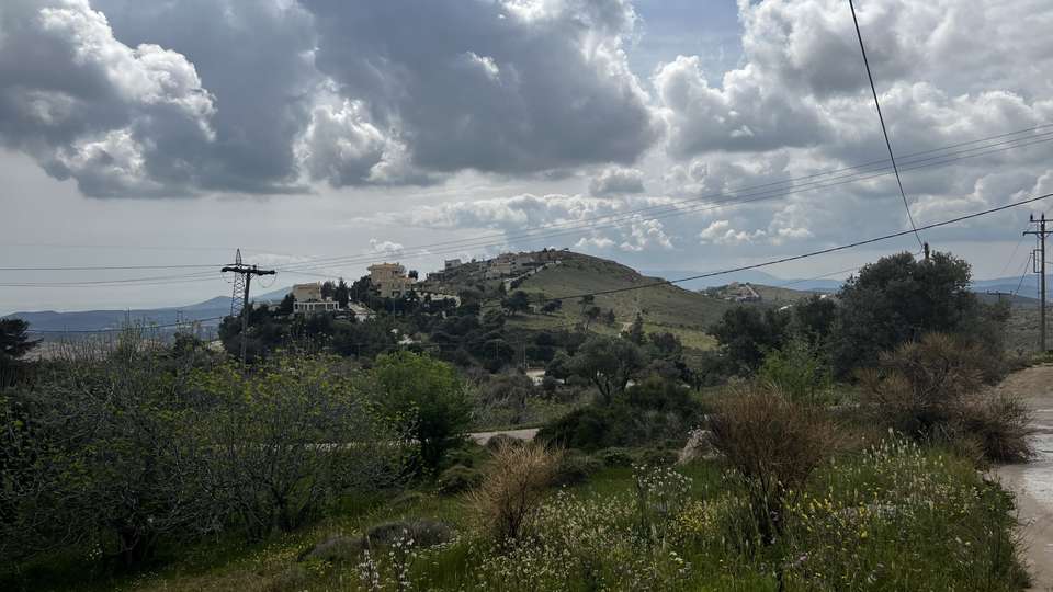 Image 0 of 2