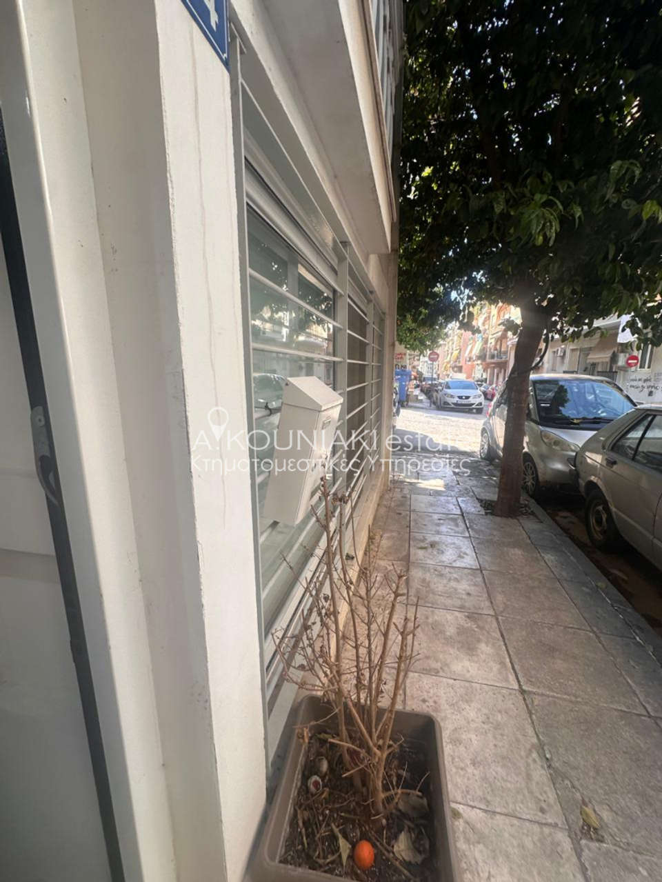 Image 2 of 14