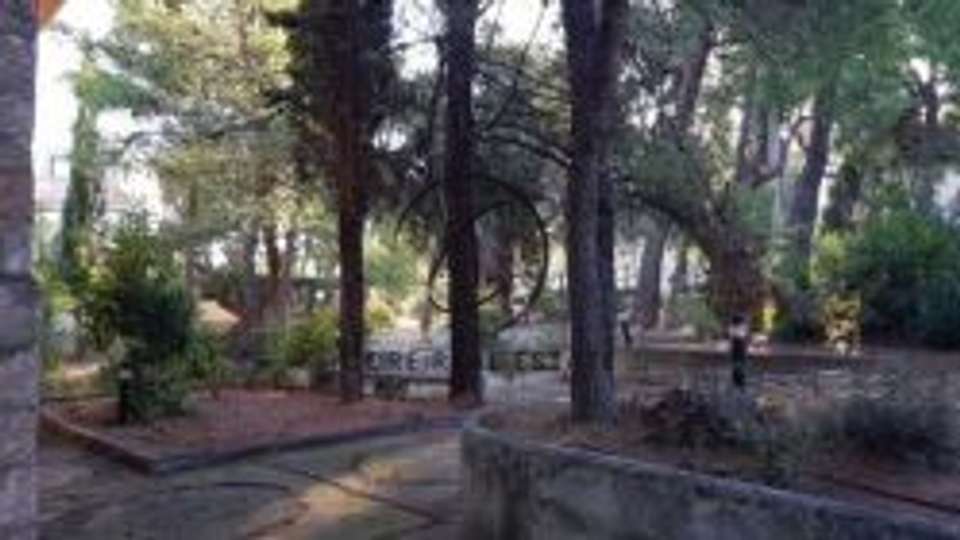 Image 1 of 13