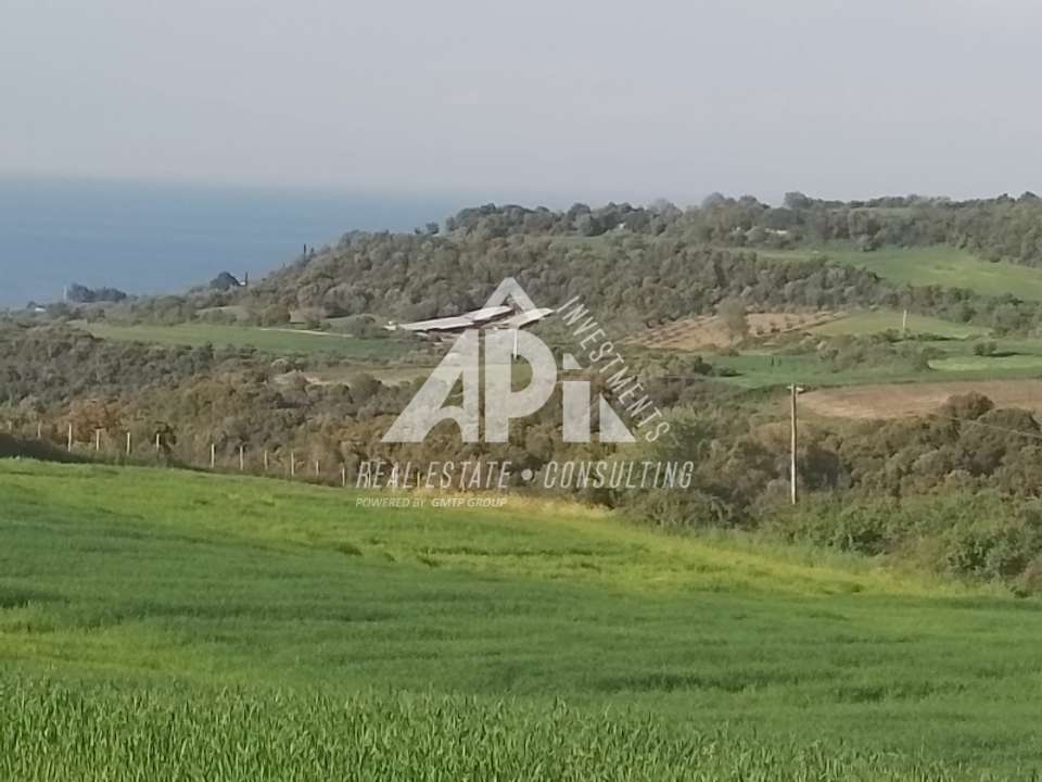 Image 1 of 10