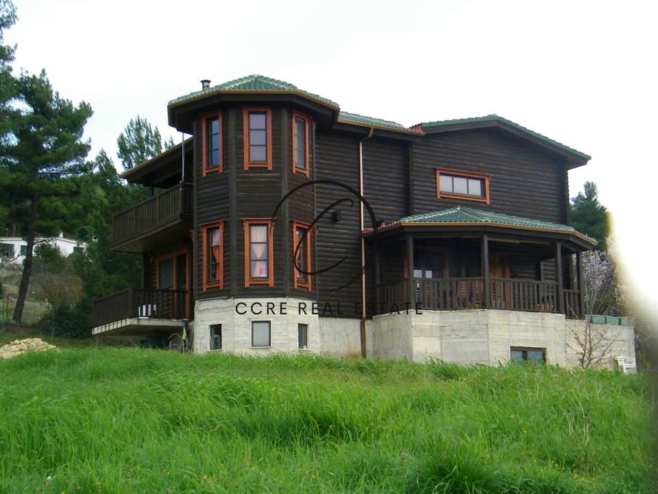 Image 0 of 19
