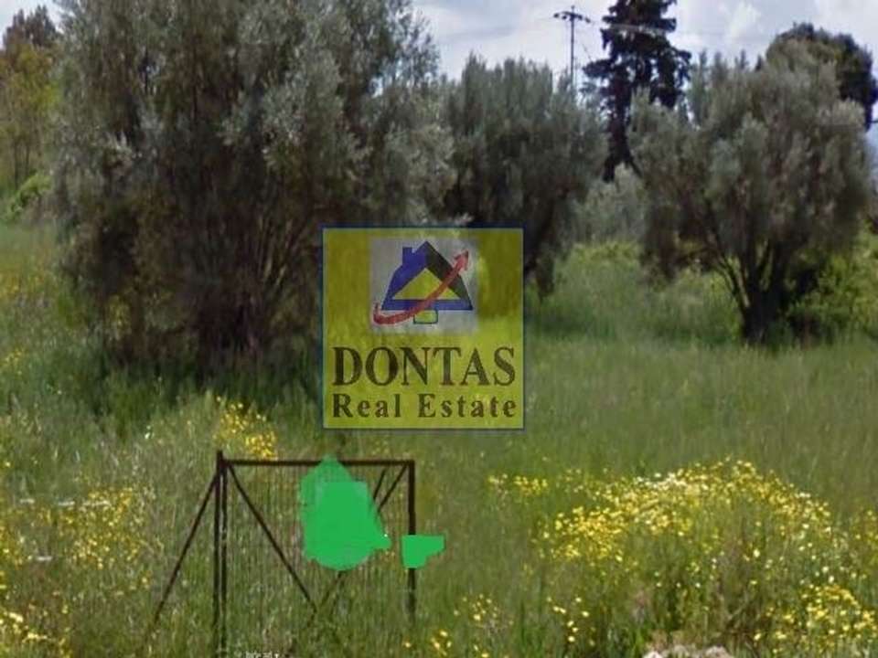 Image 0 of 3