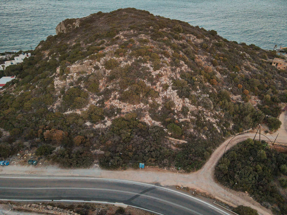 Image 1 of 7