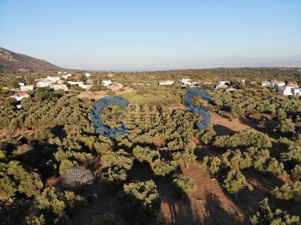 Image 0 of 10