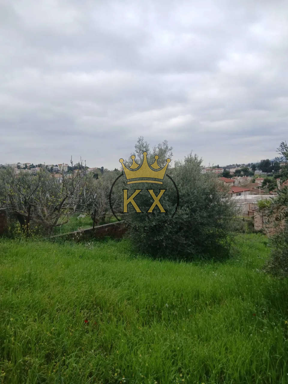 Image 0 of 2