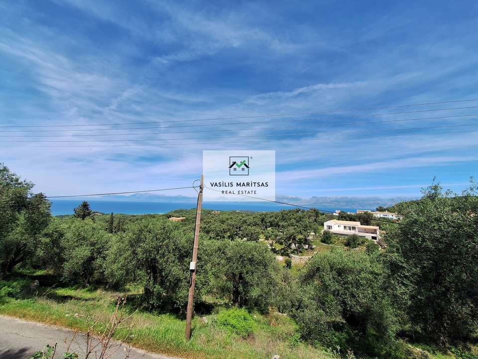 Image 1 of 11