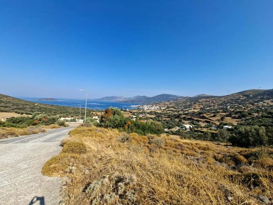 Image 2 of 4