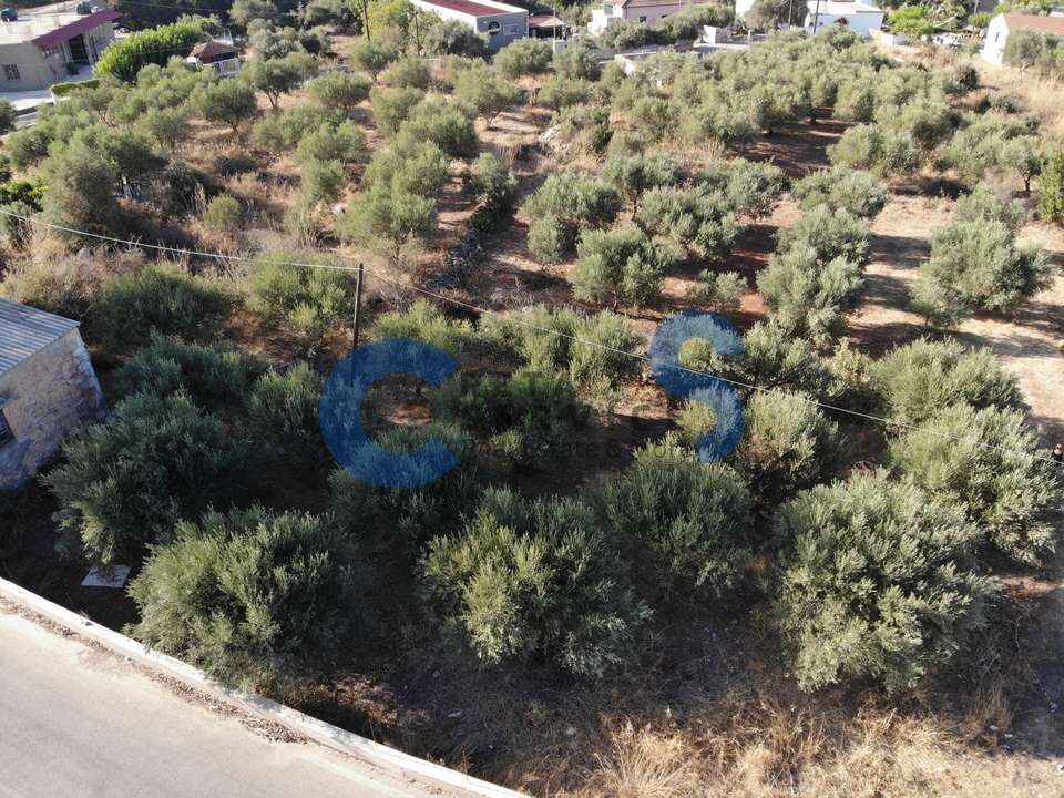Image 1 of 18