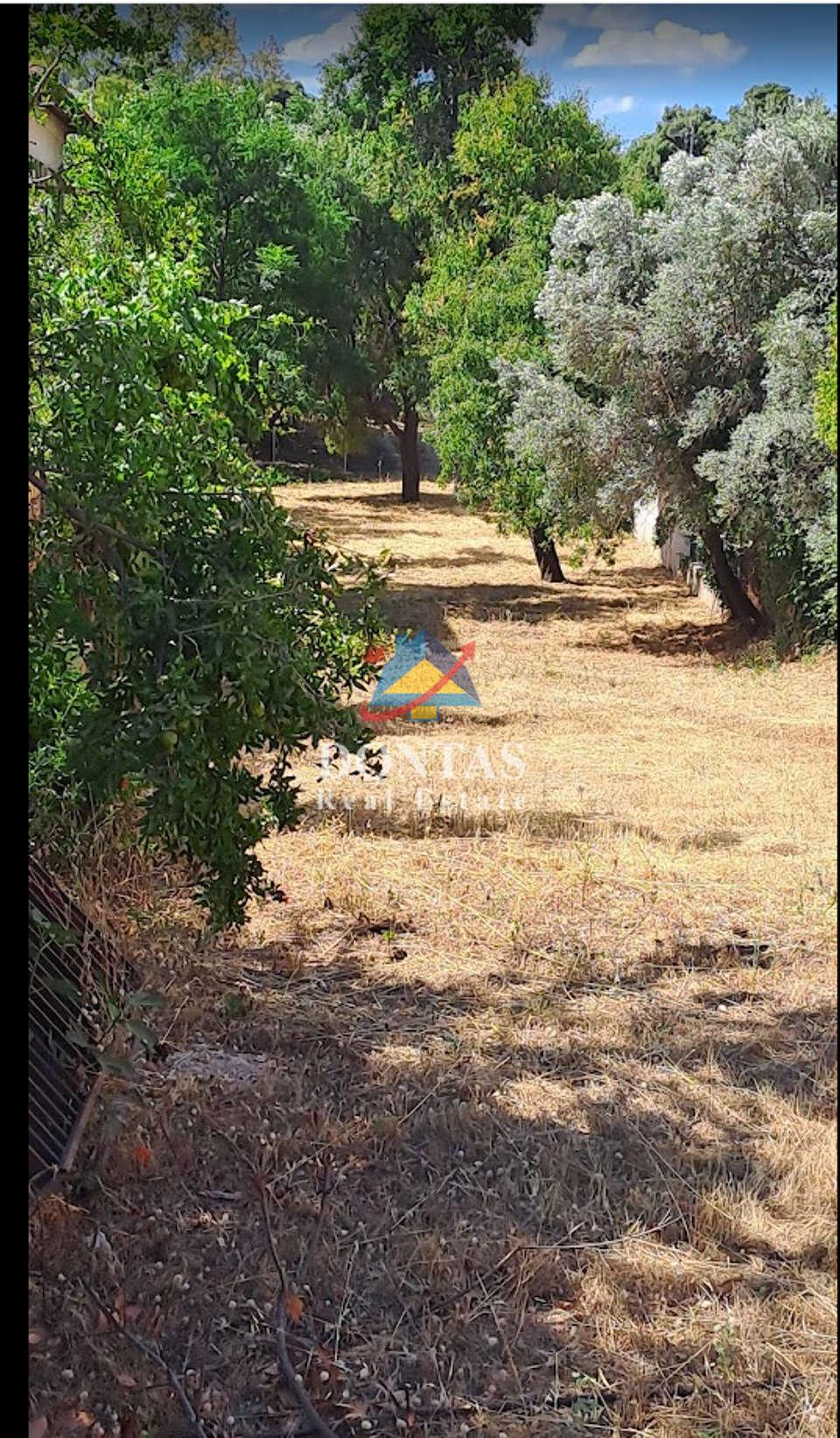 Image 2 of 7