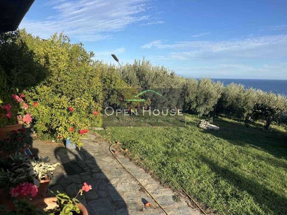 Image 1 of 31