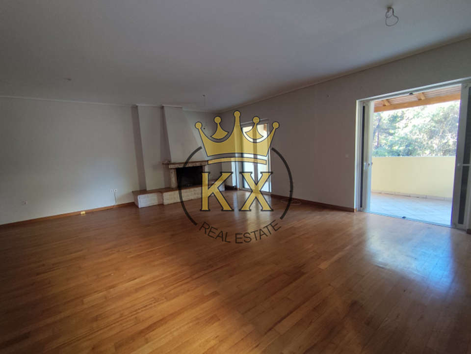 Image 1 of 41
