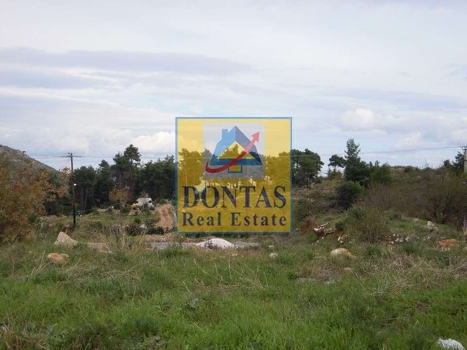 Image 0 of 7