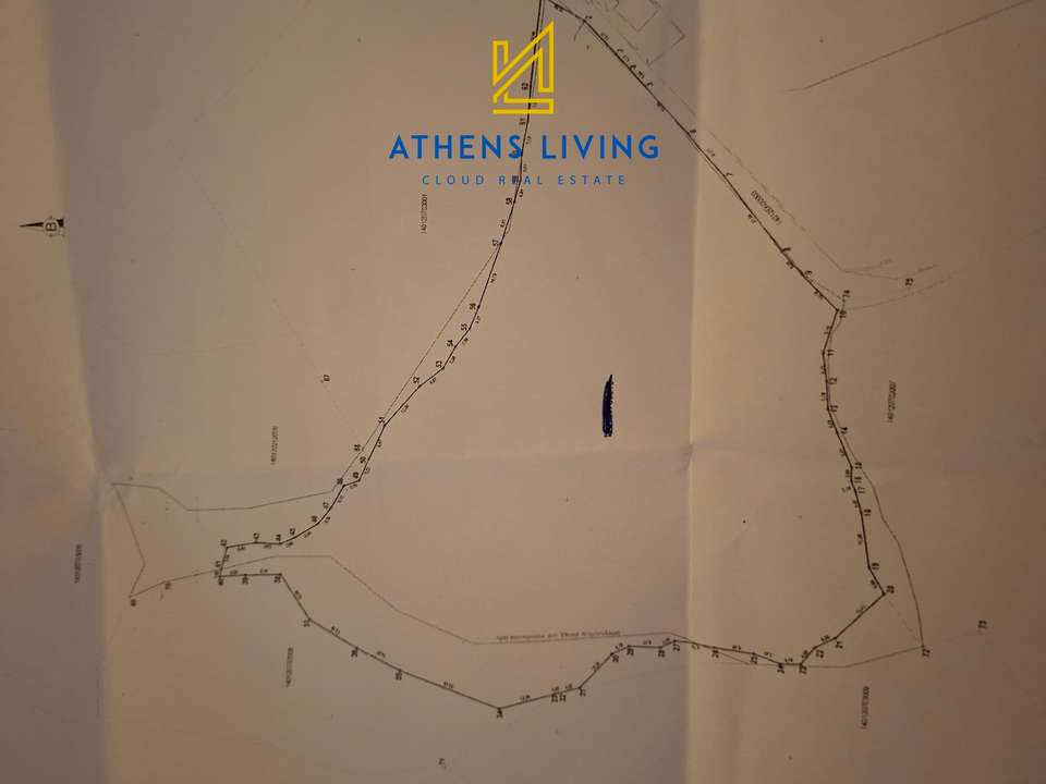 Image 2 of 4