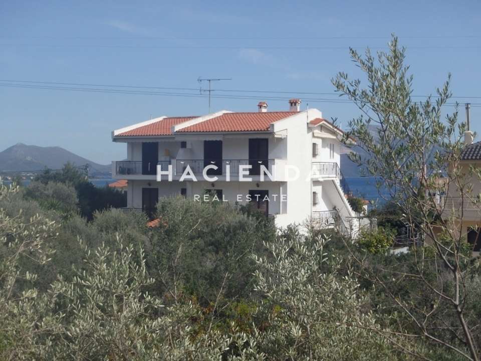 Image 2 of 7