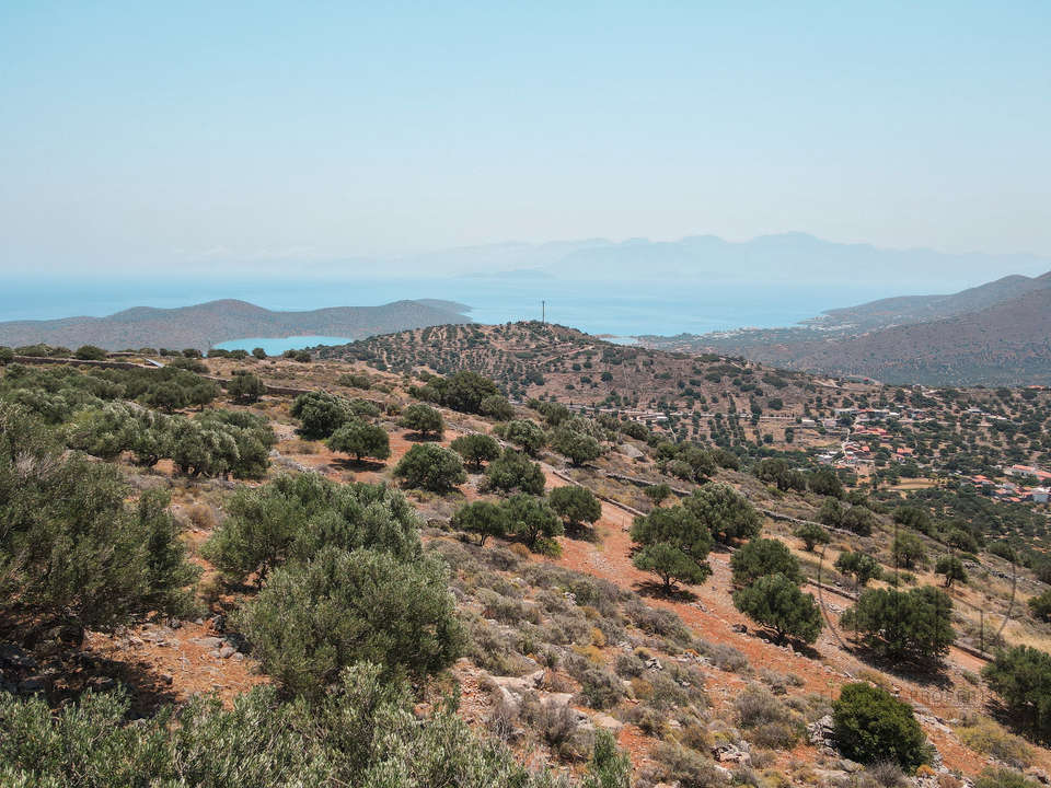 Image 1 of 10