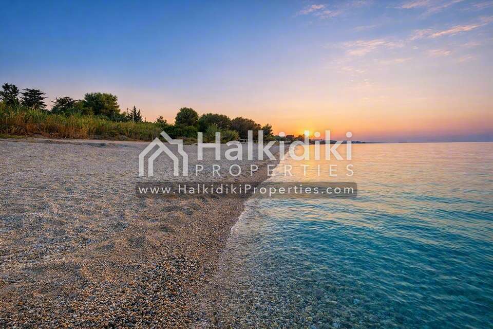 Image 1 of 14
