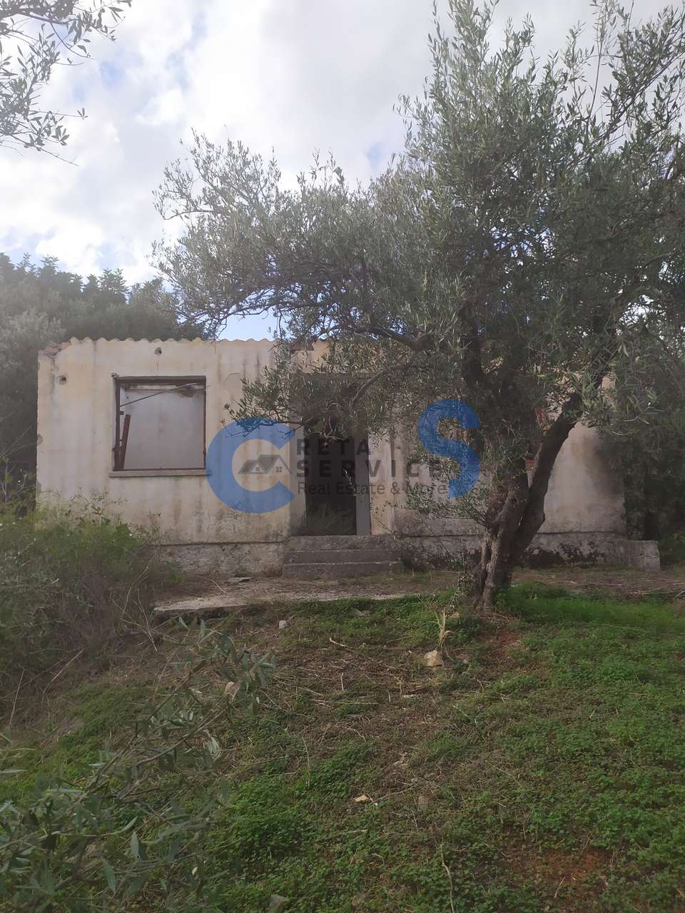 Image 2 of 8