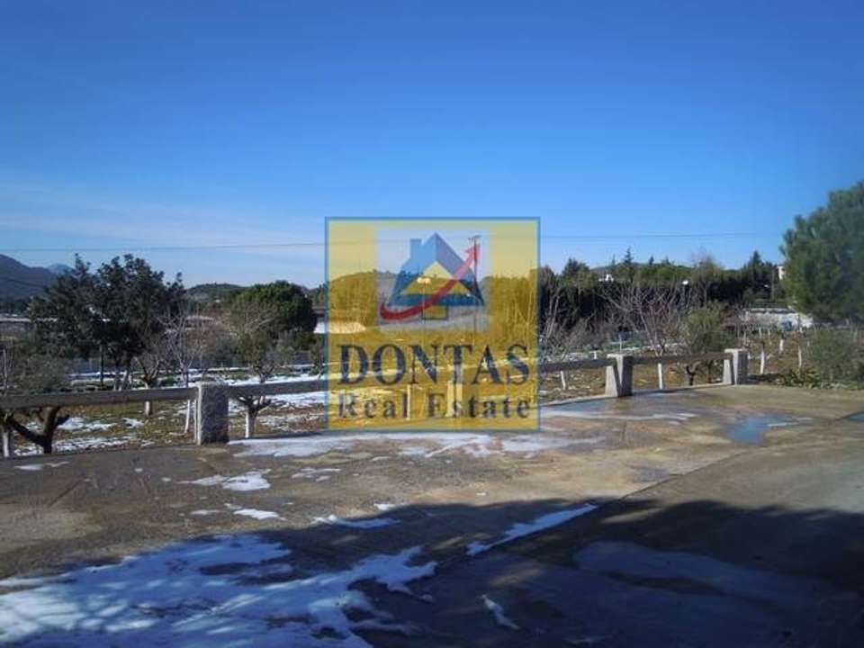 Image 2 of 6