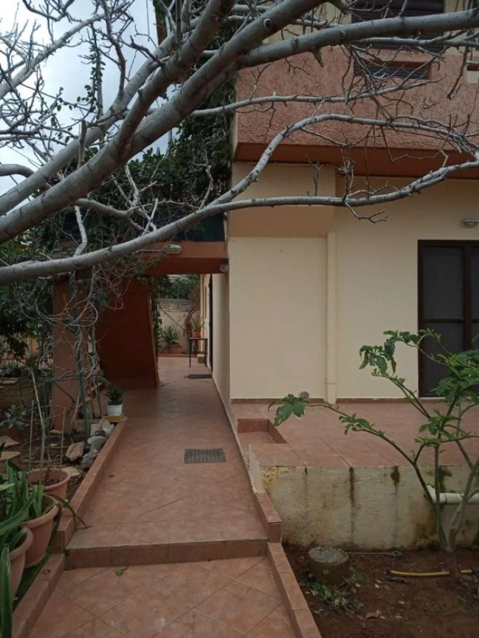Image 1 of 25
