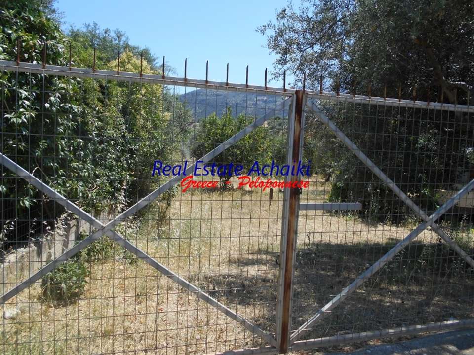 Image 1 of 12