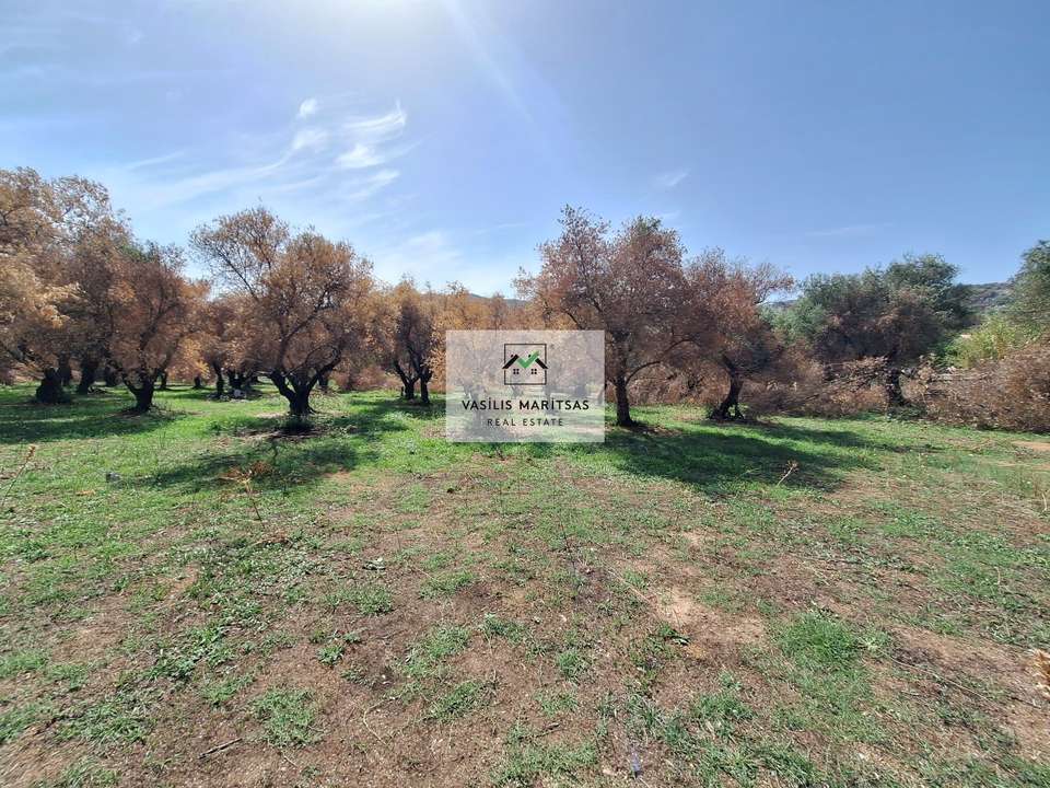 Image 1 of 24