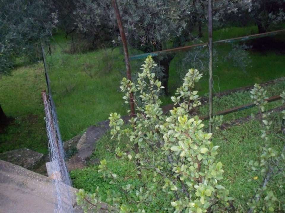 Image 0 of 3
