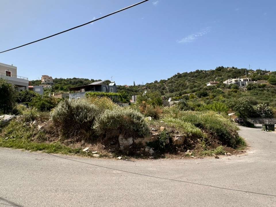 Image 2 of 8