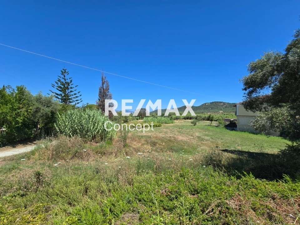 Image 1 of 11