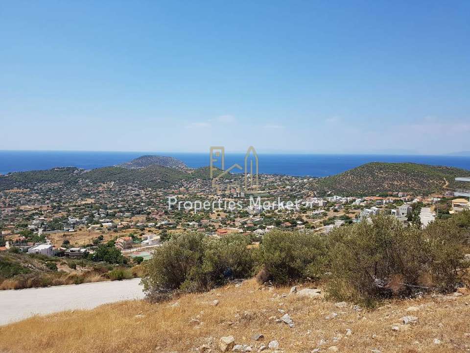 Image 2 of 20