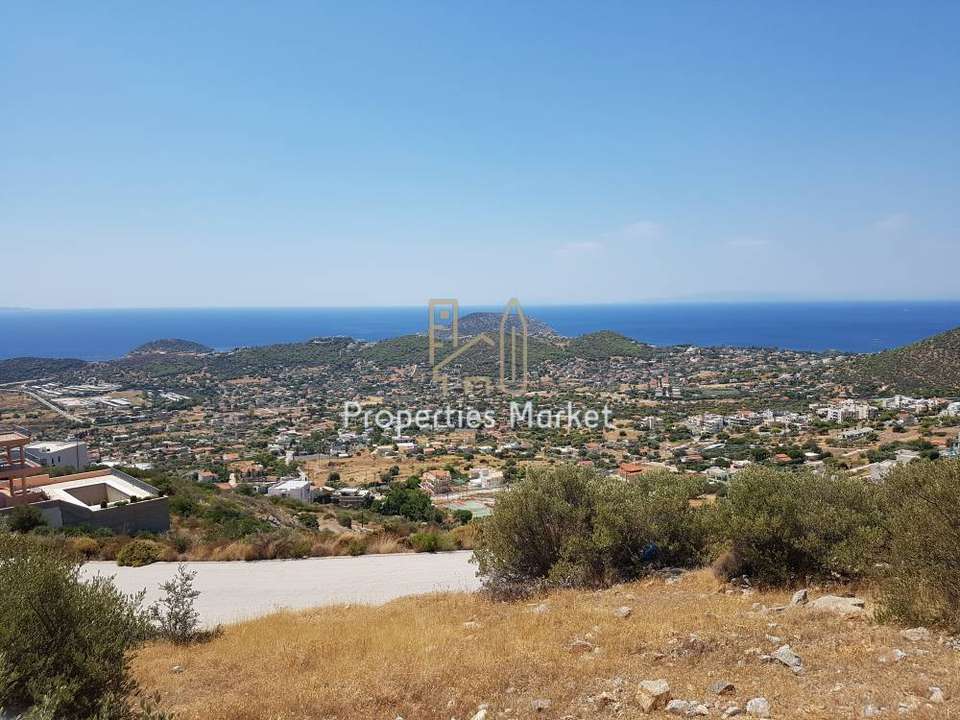 Image 1 of 20