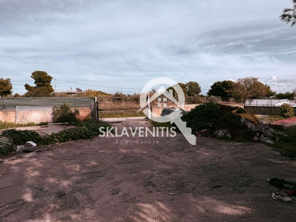 Image 1 of 14