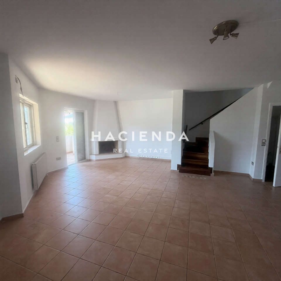 Image 1 of 14