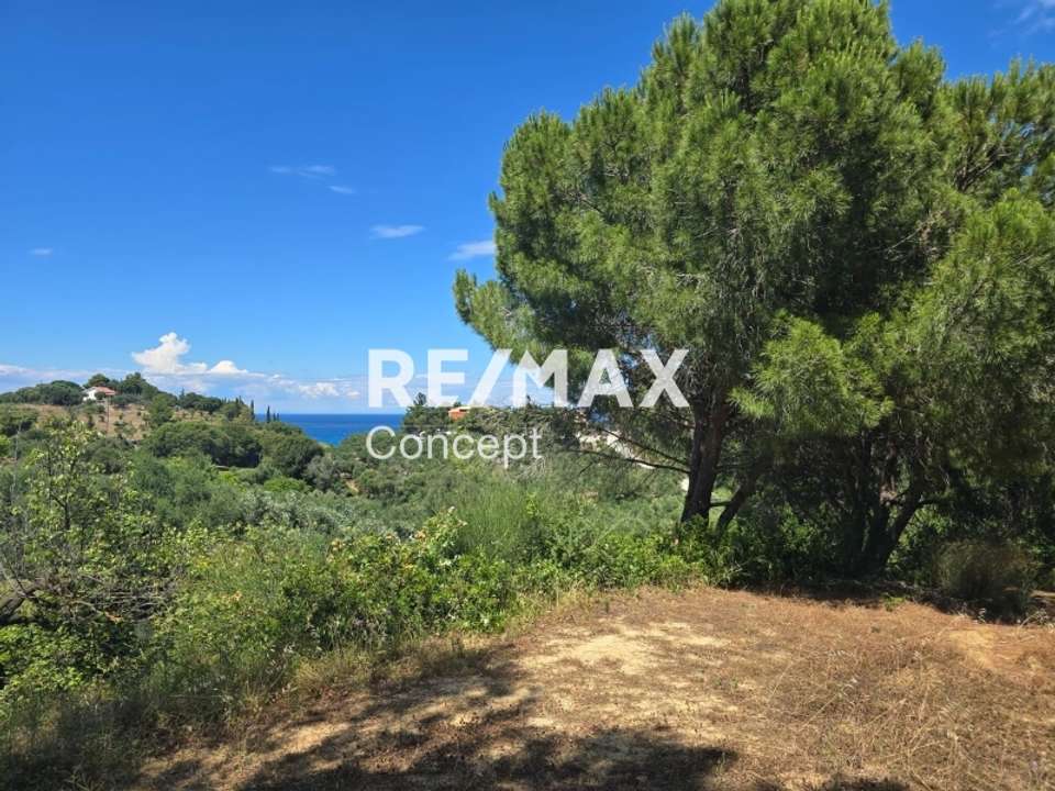 Image 1 of 19