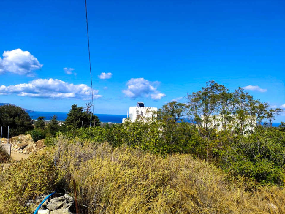 Image 1 of 11
