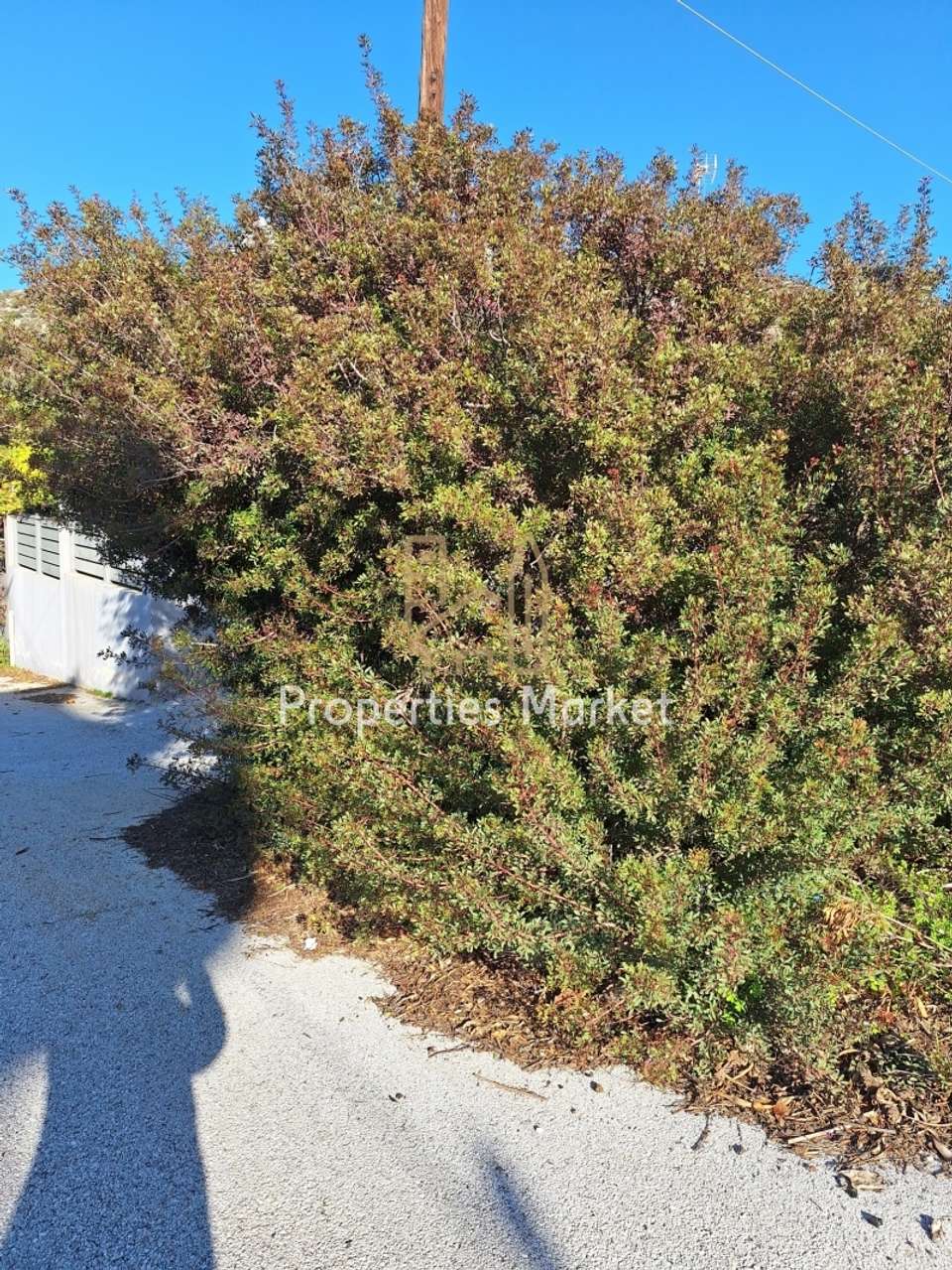 Image 2 of 15
