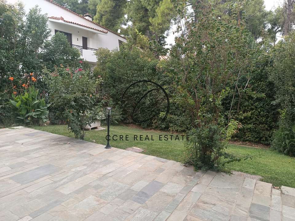 Image 1 of 19