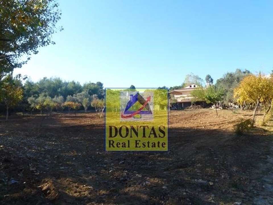 Image 1 of 13