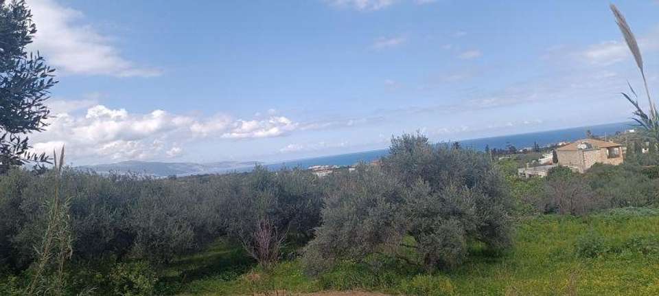 Image 0 of 7