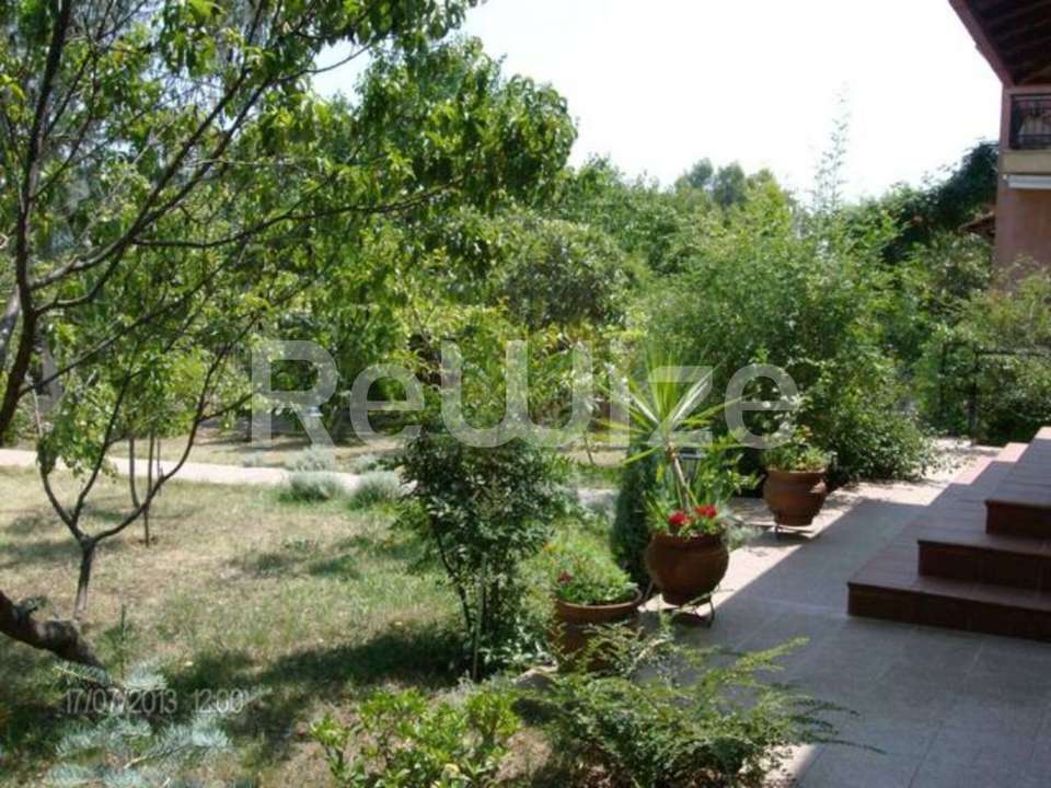 Image 1 of 19