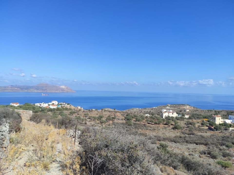 Image 1 of 19