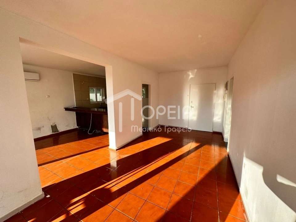 Image 1 of 12